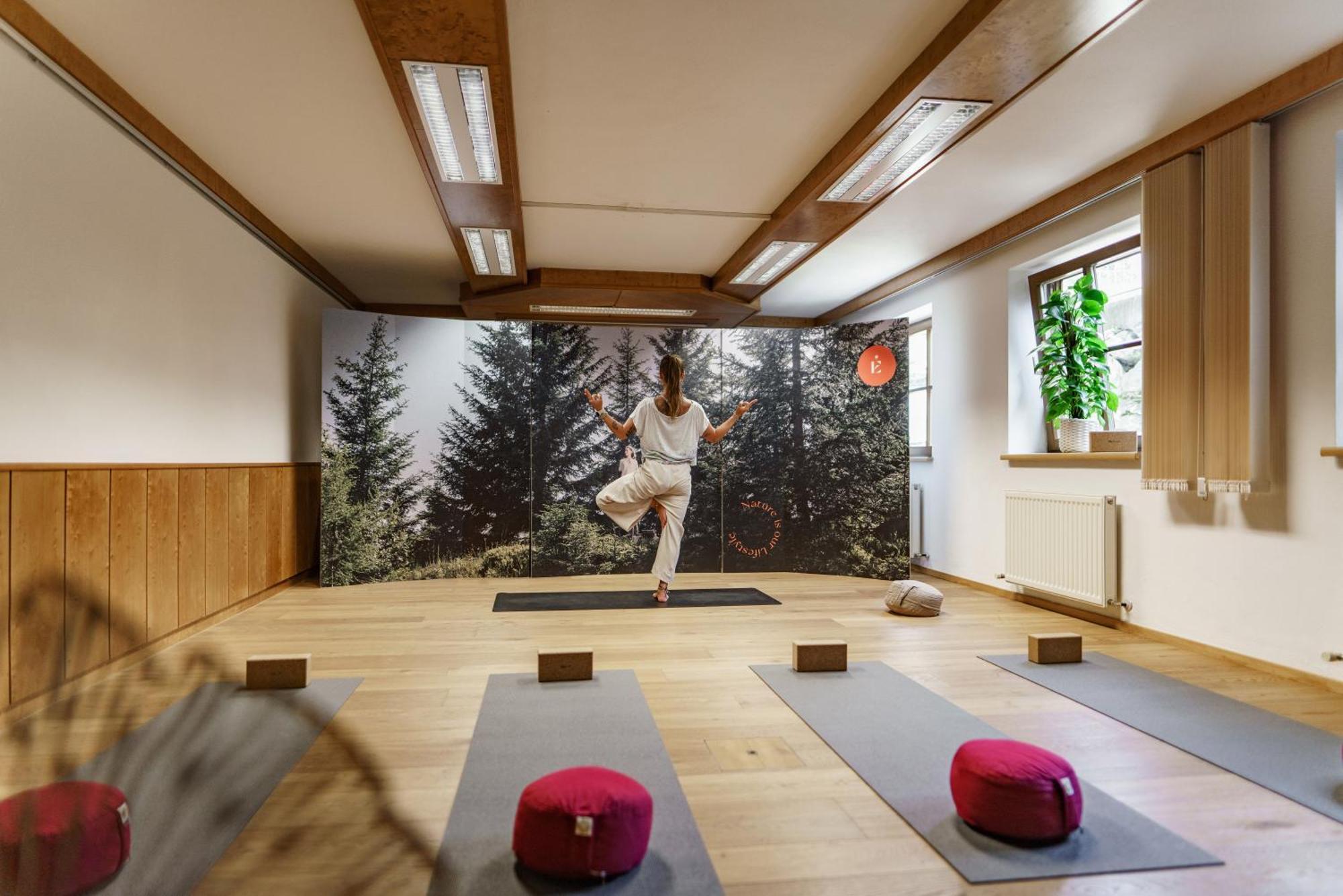 Naturhotel Edelweiss Wagrain Εξωτερικό φωτογραφία